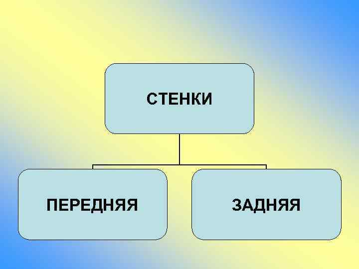СТЕНКИ ПЕРЕДНЯЯ ЗАДНЯЯ 