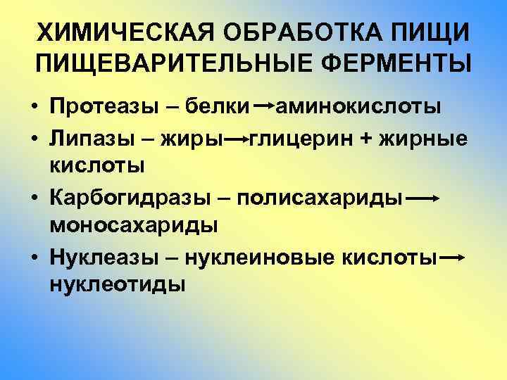 Химические процессы в пище