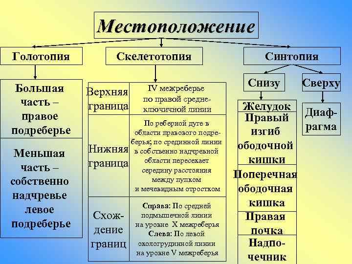 Голотопия скелетотопия синтопия