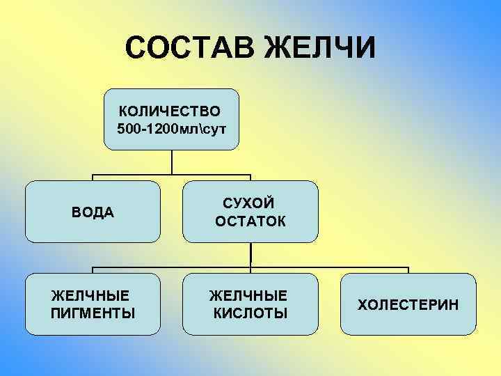 СОСТАВ ЖЕЛЧИ КОЛИЧЕСТВО 500 -1200 млсут ВОДА СУХОЙ ОСТАТОК ЖЕЛЧНЫЕ ПИГМЕНТЫ ЖЕЛЧНЫЕ КИСЛОТЫ ХОЛЕСТЕРИН