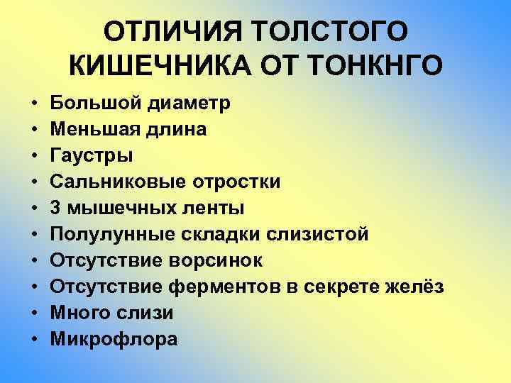 ОТЛИЧИЯ ТОЛСТОГО КИШЕЧНИКА ОТ ТОНКНГО • • • Большой диаметр Меньшая длина Гаустры Сальниковые