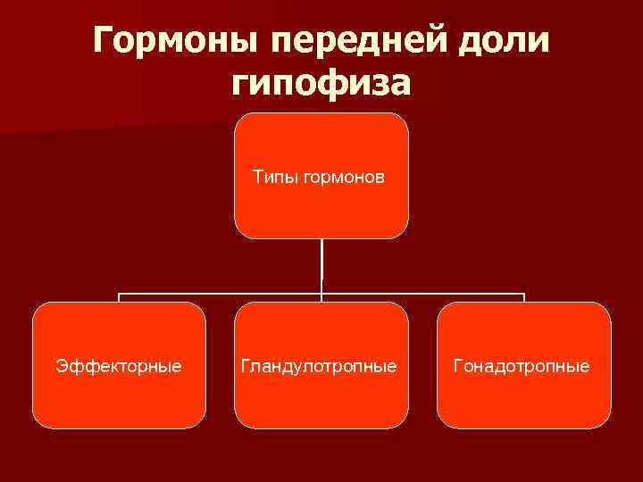 Гормоны передней доли гипофиза Типы гормонов Эффекторные Гландулотропные Гонадотропные 