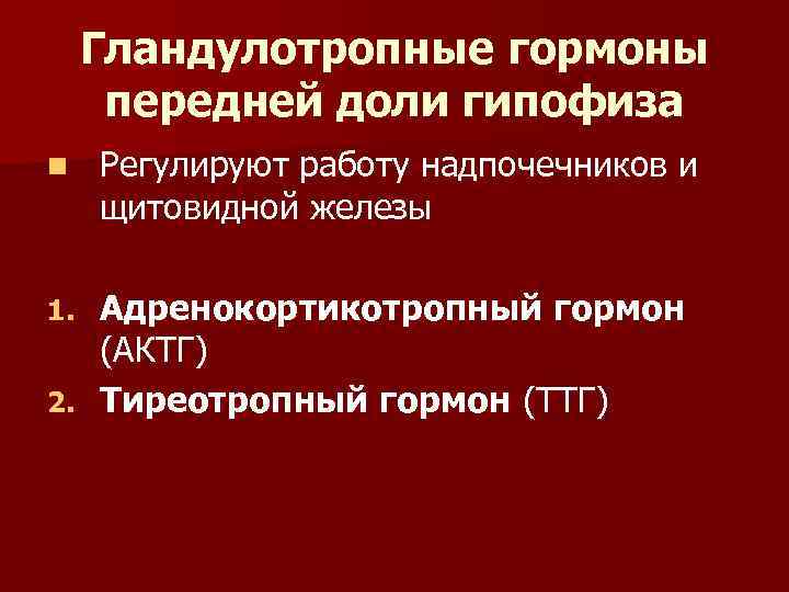 Гландулотропные гормоны передней доли гипофиза n Регулируют работу надпочечников и щитовидной железы Адренокортикотропный гормон