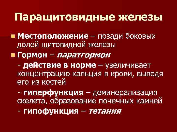 Паращитовидные железы n Местоположение – позади боковых долей щитовидной железы n Гормон – паратгормон