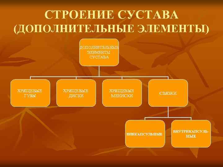 СТРОЕНИЕ СУСТАВА (ДОПОЛНИТЕЛЬНЫЕ ЭЛЕМЕНТЫ) ДОПОЛНИТЕЛЬНЫЕ ЭЛЕМЕНТЫ СУСТАВА ХРЯЩЕВЫЕ ГУБЫ ХРЯЩЕВЫЕ ДИСКИ ХРЯЩЕВЫЕ МЕНИСКИ СВЯЗКИ