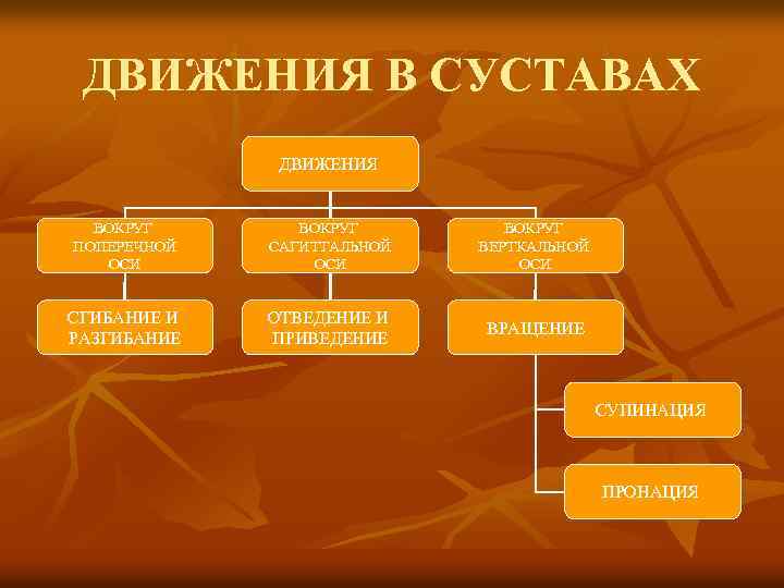 ДВИЖЕНИЯ В СУСТАВАХ ДВИЖЕНИЯ ВОКРУГ ПОПЕРЕЧНОЙ ОСИ ВОКРУГ САГИТТАЛЬНОЙ ОСИ ВОКРУГ ВЕРТКАЛЬНОЙ ОСИ СГИБАНИЕ