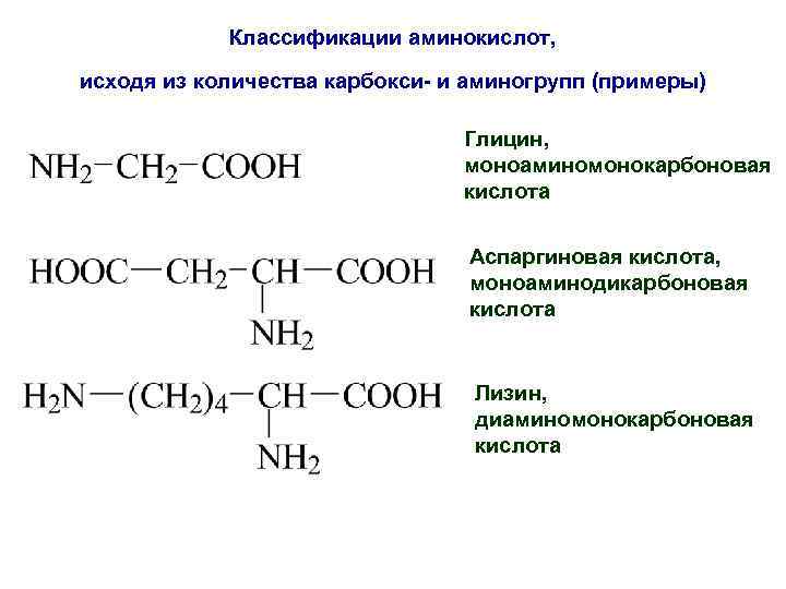 Классификации аминокислот, исходя из количества карбокси- и аминогрупп (примеры) Глицин, моноаминомонокарбоновая кислота Аспаргиновая Классификации аминокислот, исходя из количества карбокси- и аминогрупп (примеры) Глицин, моноаминомонокарбоновая кислота Аспаргиновая