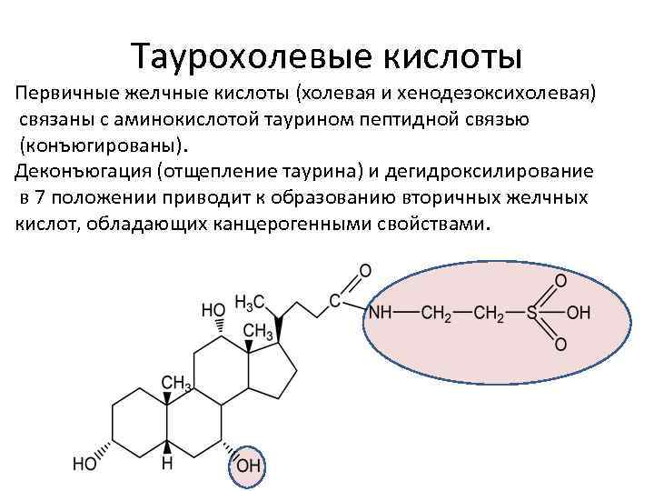  Прогестерон (гестаген) (гормон желтого тела) Гестагены готовят матку к восприятию оплодотворенного яйца. Если