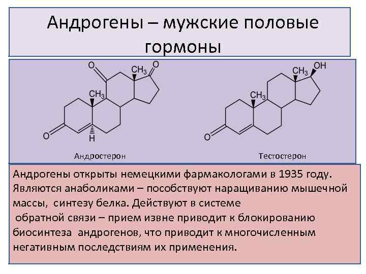  Химическая классификация нейромедиаторов • Аминокислоты и их производные: • глицин, таурин, ГАМК, дофамин,