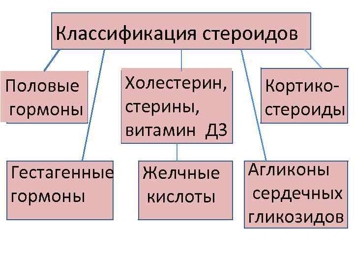  Основу структуры стероидов составляет циклопентанопергидрофенантрен Гонан (стеран) 