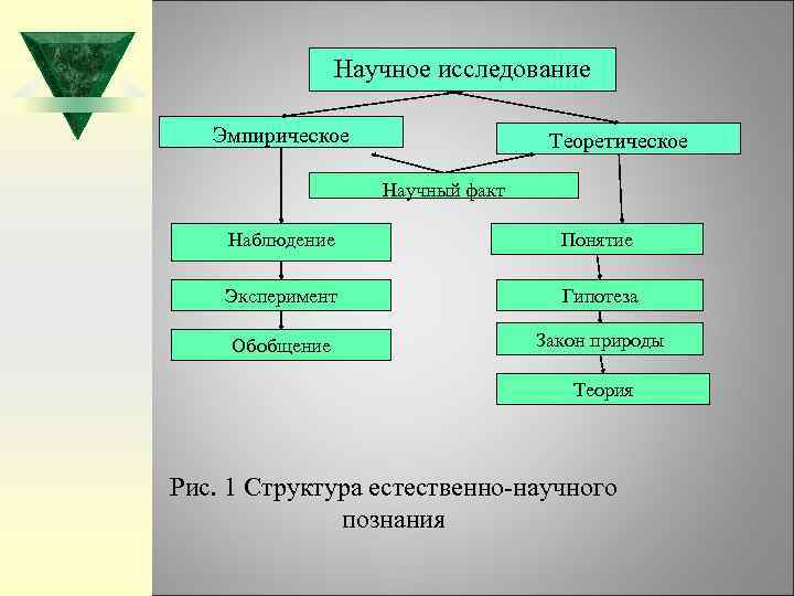 Научное исследование Эмпирическое Теоретическое Научный факт Наблюдение Понятие Эксперимент Гипотеза Обобщение Закон природы Теория