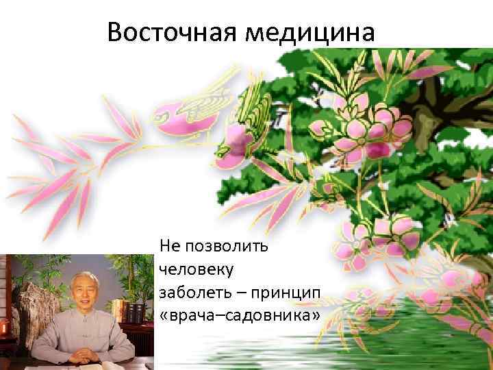 Восточная медицина Не позволить человеку заболеть – принцип «врача–садовника» 