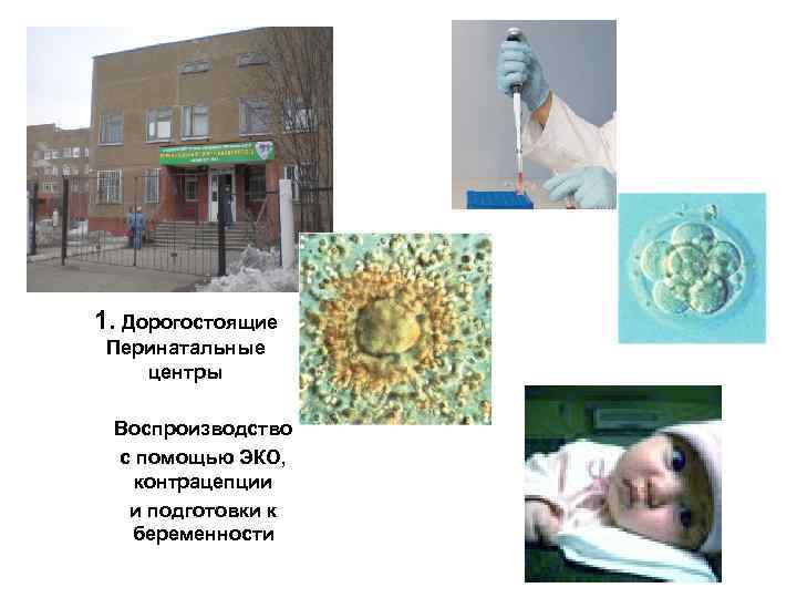 1. Дорогостоящие Перинатальные центры Воспроизводство с помощью ЭКО, контрацепции и подготовки к беременности 