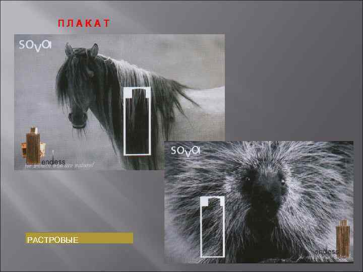 ПЛАКАТ РАСТРОВЫЕ 