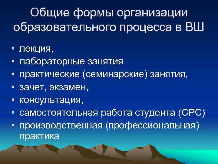 Общие формы организации образовательного процесса в ВШ • • лекция, лабораторные занятия практические (семинарские)