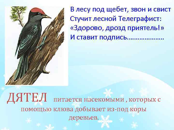  В лесу под щебет, звон и свист Стучит лесной Телеграфист: «Здорово, дрозд приятель!»