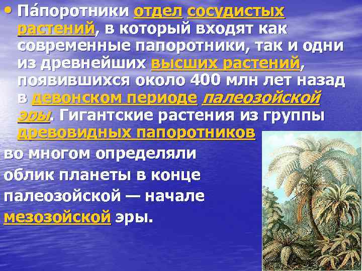  • Па поротники отдел сосудистых растений, в который входят как современные папоротники, так