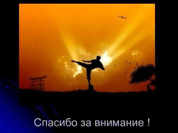 Спасибо за внимание ! 