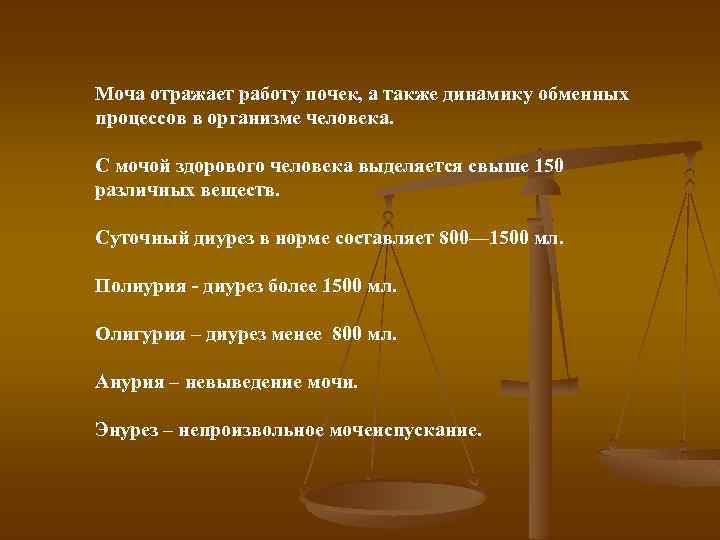 Моча отражает работу почек, а также динамику обменных процессов в организме человека. С мочой