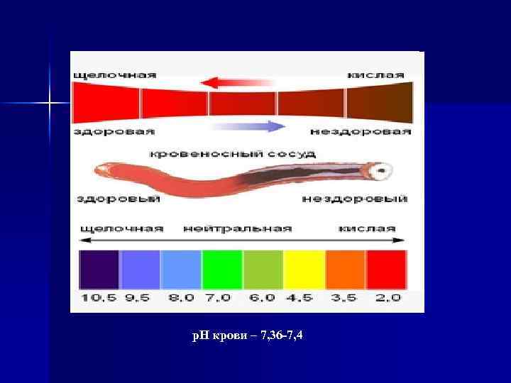 р. Н крови – 7, 36 -7, 4 