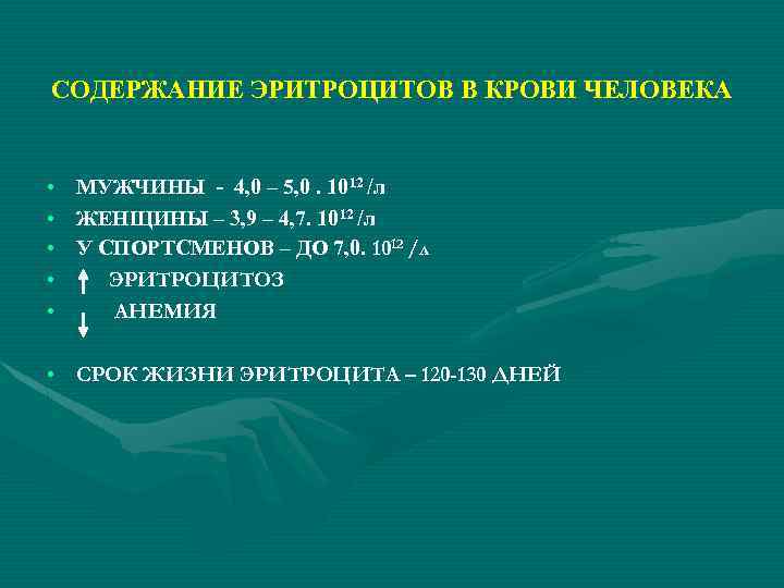 СОДЕРЖАНИЕ ЭРИТРОЦИТОВ В КРОВИ ЧЕЛОВЕКА • МУЖЧИНЫ - 4, 0 – 5, 0. 1012