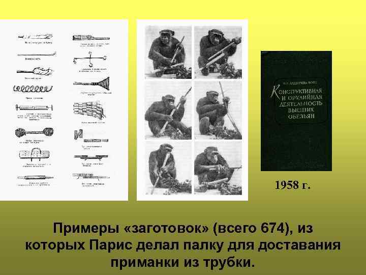 1958 г. Примеры «заготовок» (всего 674), из которых Парис делал палку для доставания приманки