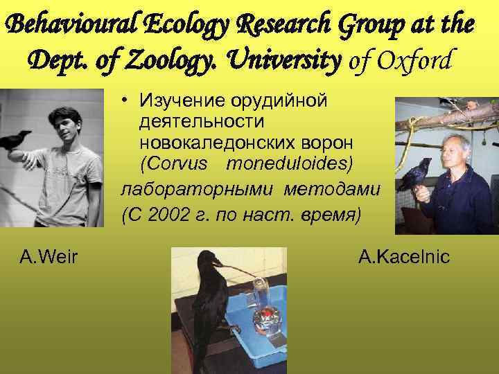 Behavioural Ecology Research Group at the Dept. of Zoology. University of Oxford • Изучение