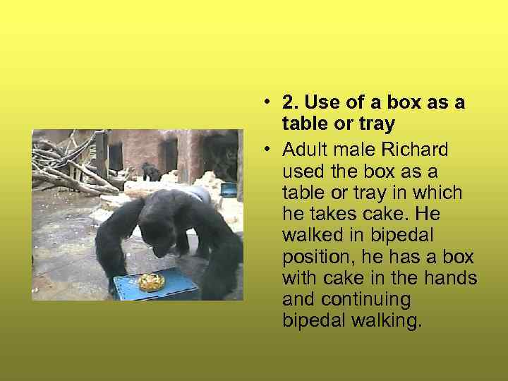  • 2. Use of a box as a table or tray • Adult