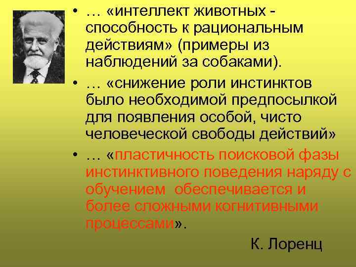 • … «интеллект животных способность к рациональным действиям» (примеры из наблюдений за собаками).