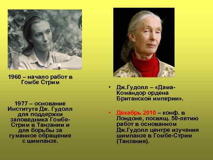 1960 – начало работ в Гомбе Стрим 1977 – основание Института Дж. Гудолл для