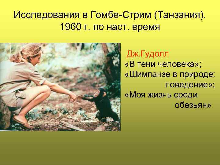 Исследования в Гомбе Стрим (Танзания). 1960 г. по наст. время Дж. Гудолл «В тени