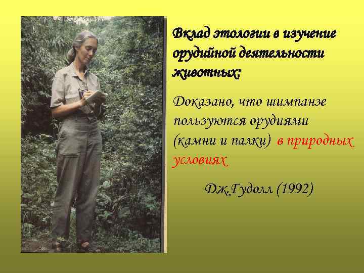 Вклад этологии в изучение орудийной деятельности животных: Доказано, что шимпанзе пользуются орудиями (камни и