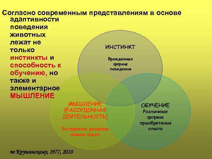Согласно современным представлениям в основе адаптивности поведения животных лежат не ИНСТИНКТ только инстинкты и