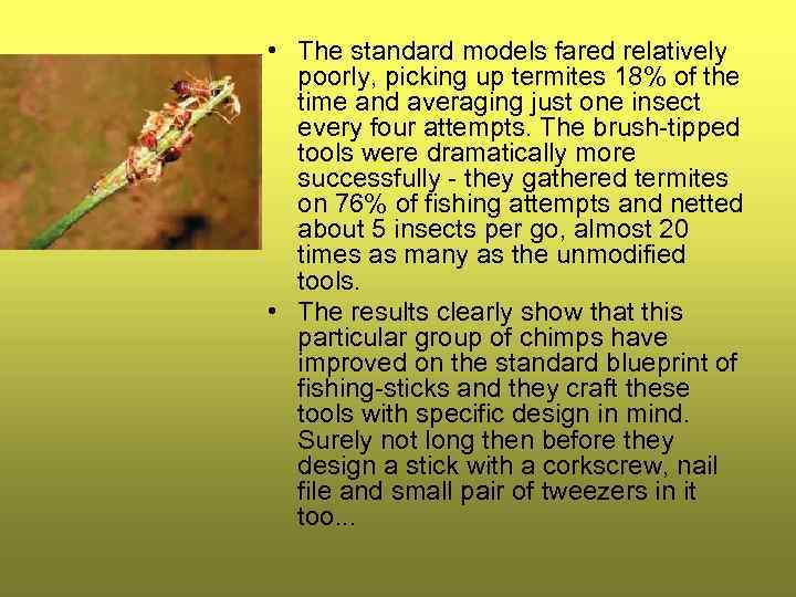  • The standard models fared relatively poorly, picking up termites 18% of the