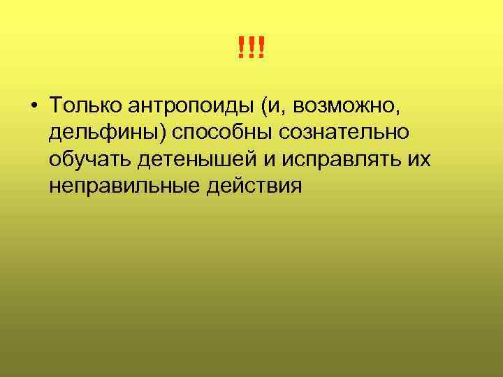 !!! • Только антропоиды (и, возможно, дельфины) способны сознательно обучать детенышей и исправлять их