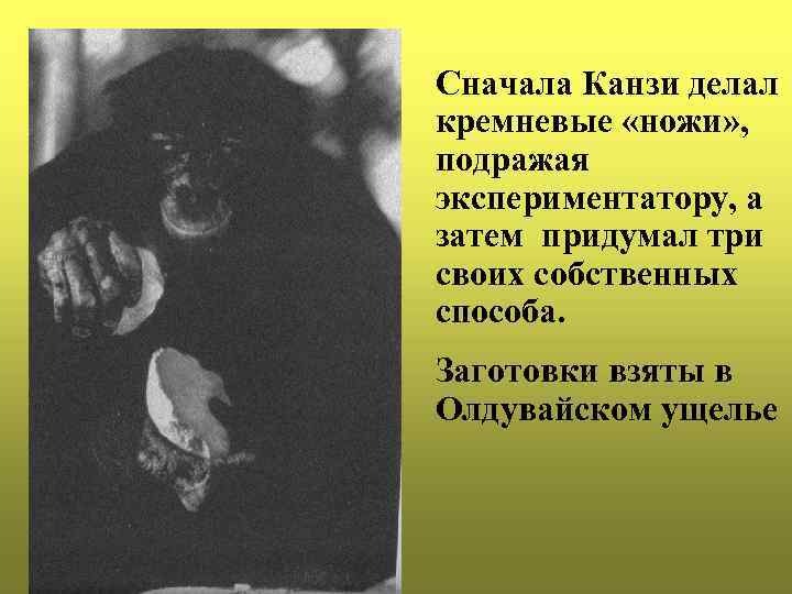 Сначала Канзи делал кремневые «ножи» , подражая экспериментатору, а затем придумал три своих собственных