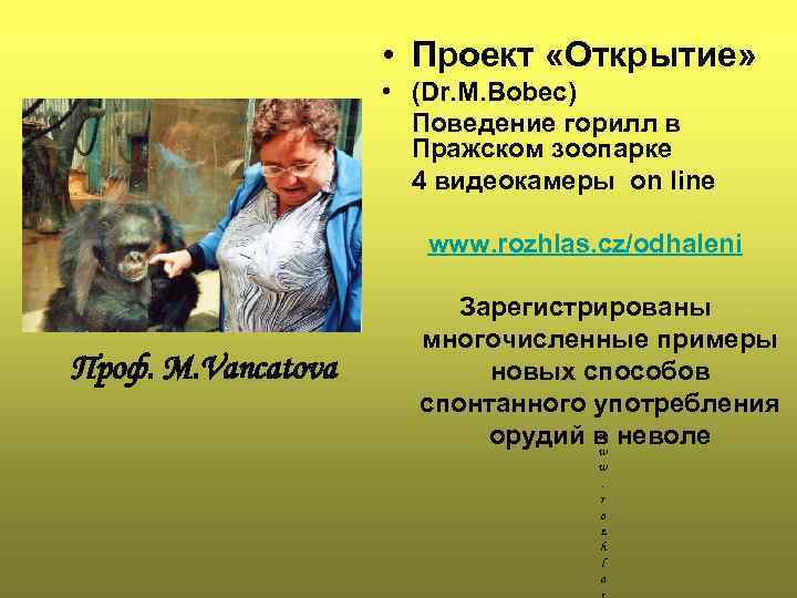  • Проект «Открытие» • (Dr. M. Bobec) Поведение горилл в Пражском зоопарке 4