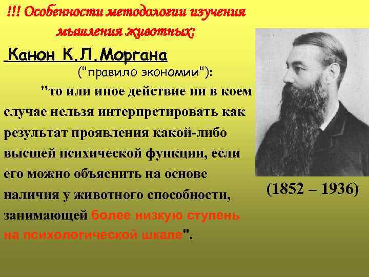 !!! Особенности методологии изучения мышления животных: Канон К. Л. Моргана (