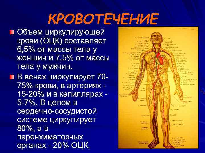 КРОВОТЕЧЕНИЕ Объем циркулирующей крови (ОЦК) составляет 6, 5% от массы тела у женщин и