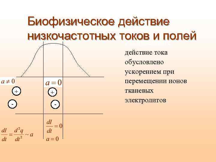 Биофизическое действие низкочастотных токов и полей Раздражающее + - действие тока обусловлено ускорением при