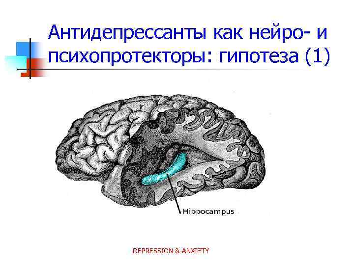Антидепрессанты как нейро- и психопротекторы: гипотеза (1) DEPRESSION & ANXIETY 