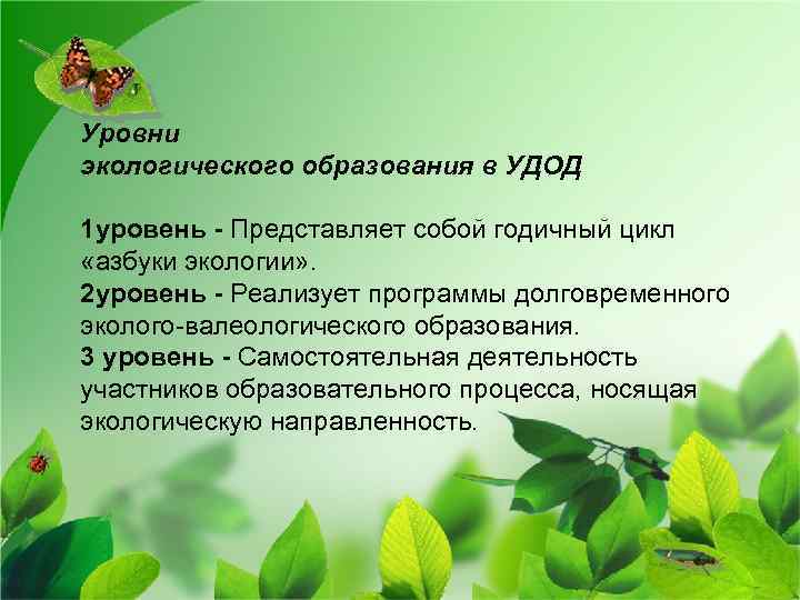 Уровни экологического образования в УДОД 1 уровень - Представляет собой годичный цикл «азбуки экологии»