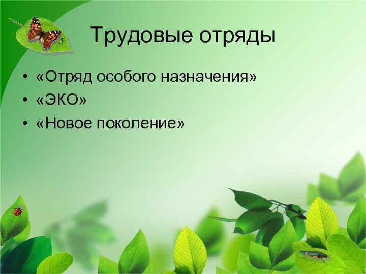 Трудовые отряды • «Отряд особого назначения» • «ЭКО» • «Новое поколение» 