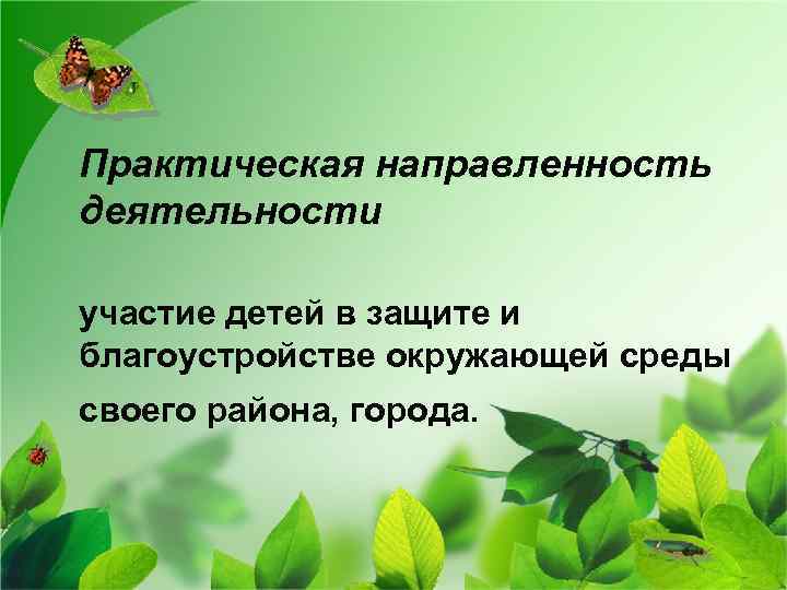 Практическая направленность деятельности участие детей в защите и благоустройстве окружающей среды своего района, города.