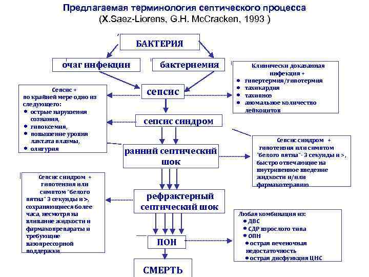 Схема иммунопатогенеза сепсиса