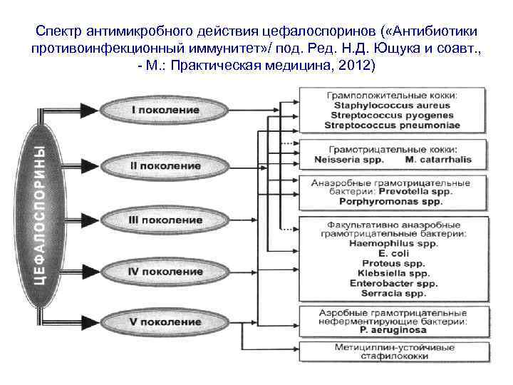 Спектр антимикробного действия цефалоспоринов ( «Антибиотики противоинфекционный иммунитет» / под. Ред. Н. Д. Ющука