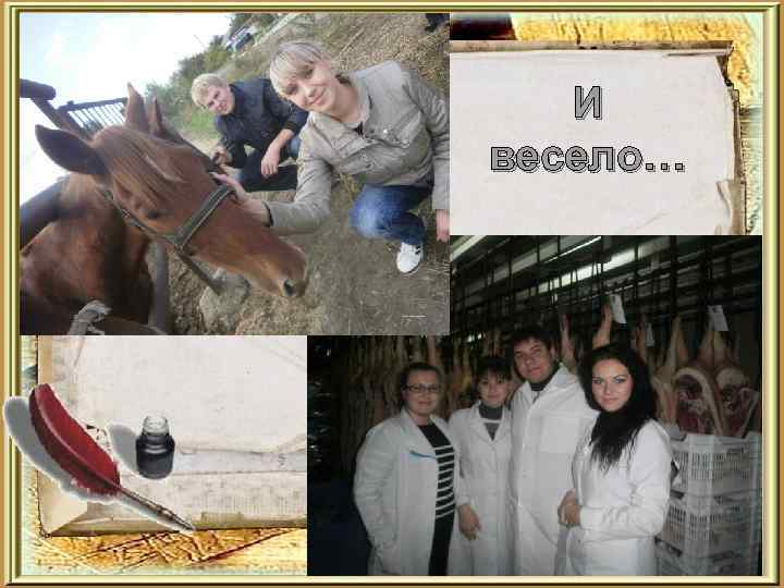 И весело… 