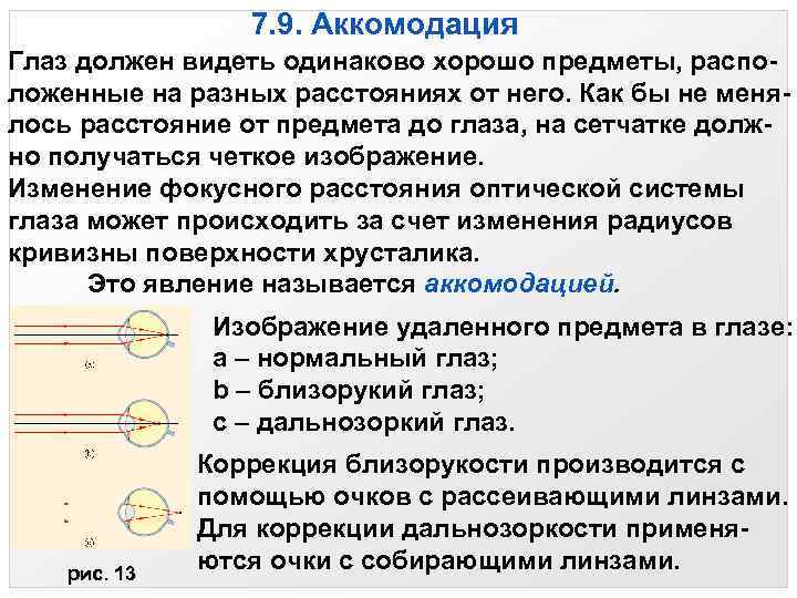 7. 9. Аккомодация Глаз должен видеть одинаково хорошо предметы, расположенные на разных расстояниях от