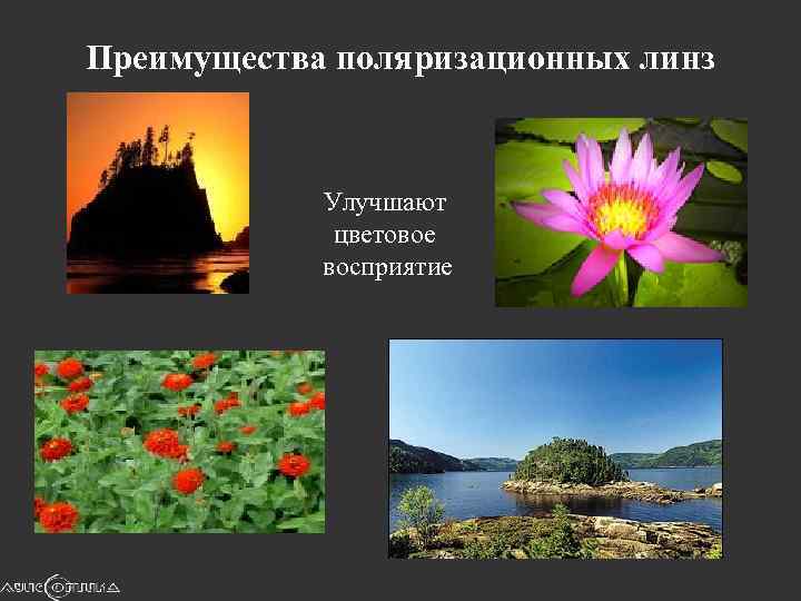 Преимущества поляризационных линз Улучшают цветовое восприятие 