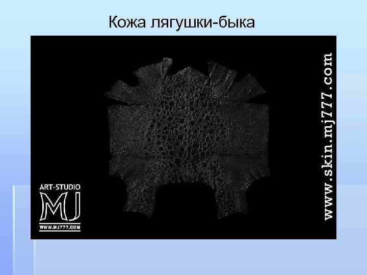 Кожа лягушки-быка 